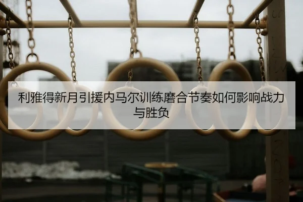 li-ya-de-xin-yue-yin-yuan-nei-ma-er-xun-lian-mo-he-jie-zou-ru-he-ying-xiang-zhan-li-yu-sheng-fu-2-161.jpg